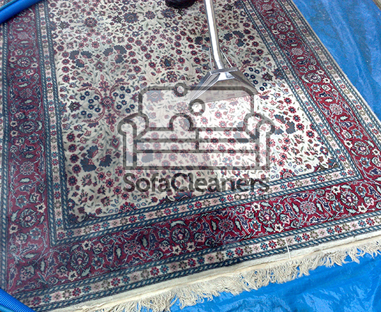 Cairns rug cleaning 