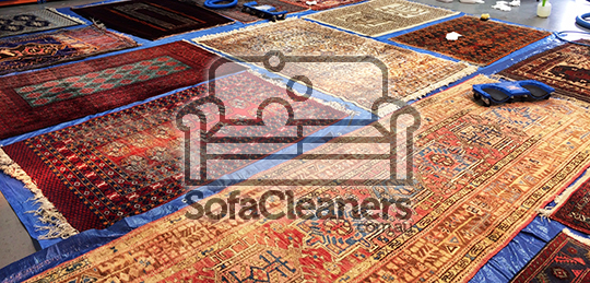 rug cleaning sofa cleaners